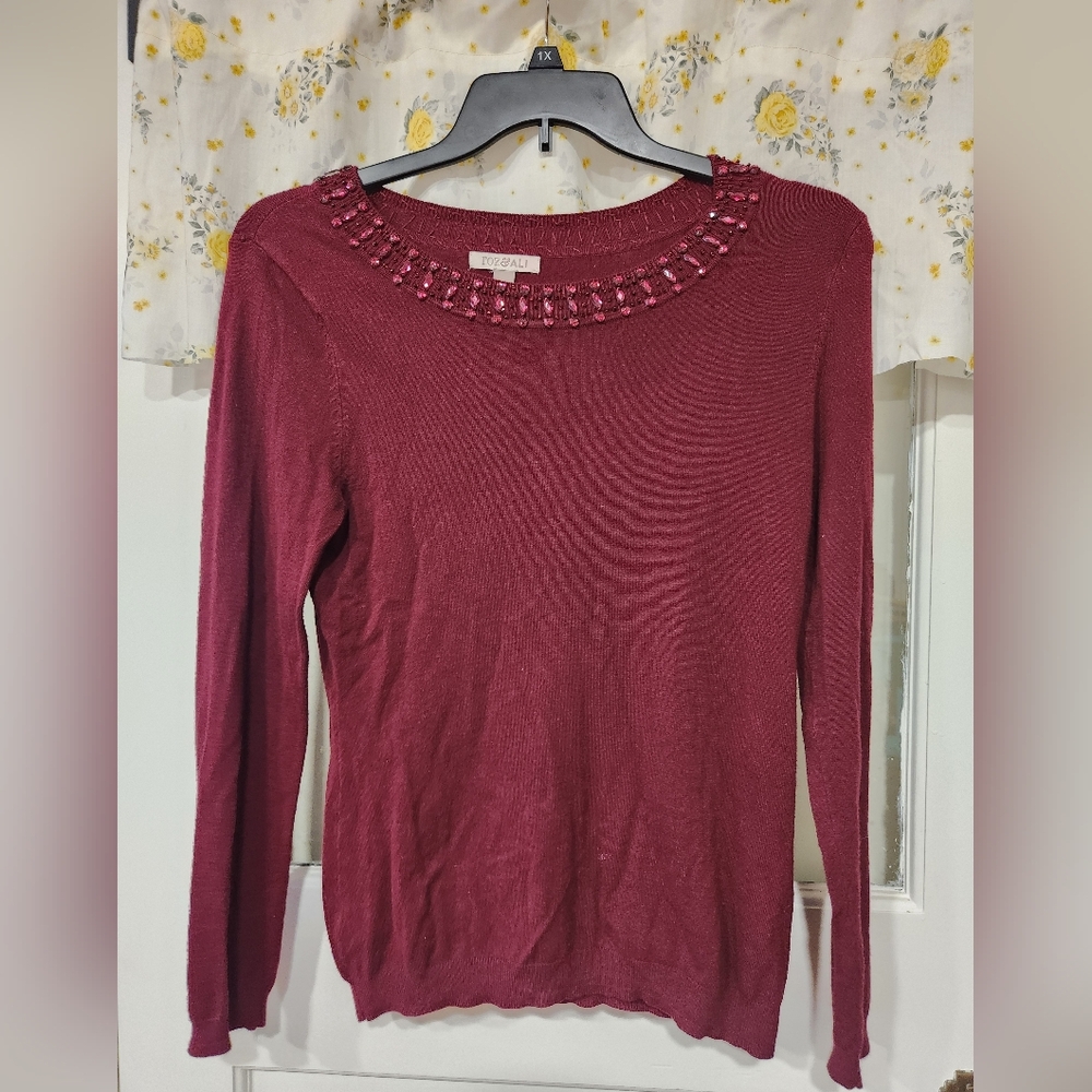 Burgundy Roz&Ali Sweater with Embellished Neckline